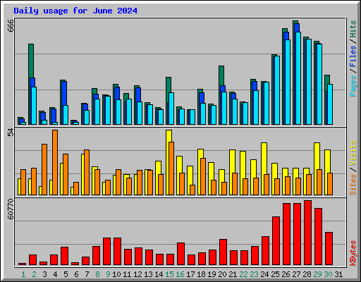 Daily usage for June 2024