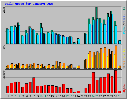 Daily usage for January 2026