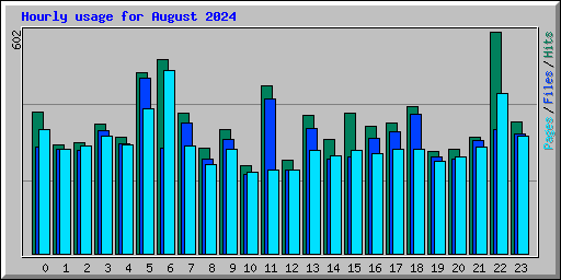 Hourly usage for August 2024