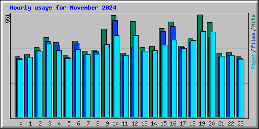 Hourly usage for November 2024