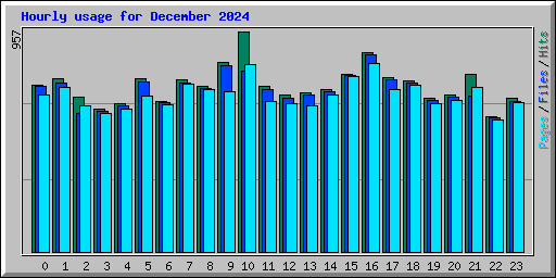 Hourly usage for December 2024