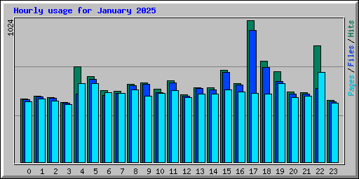 Hourly usage for January 2025