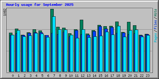 Hourly usage for September 2025