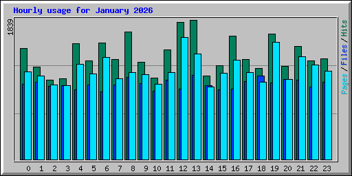 Hourly usage for January 2026
